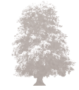 Lyrath Estate Tree Icon
