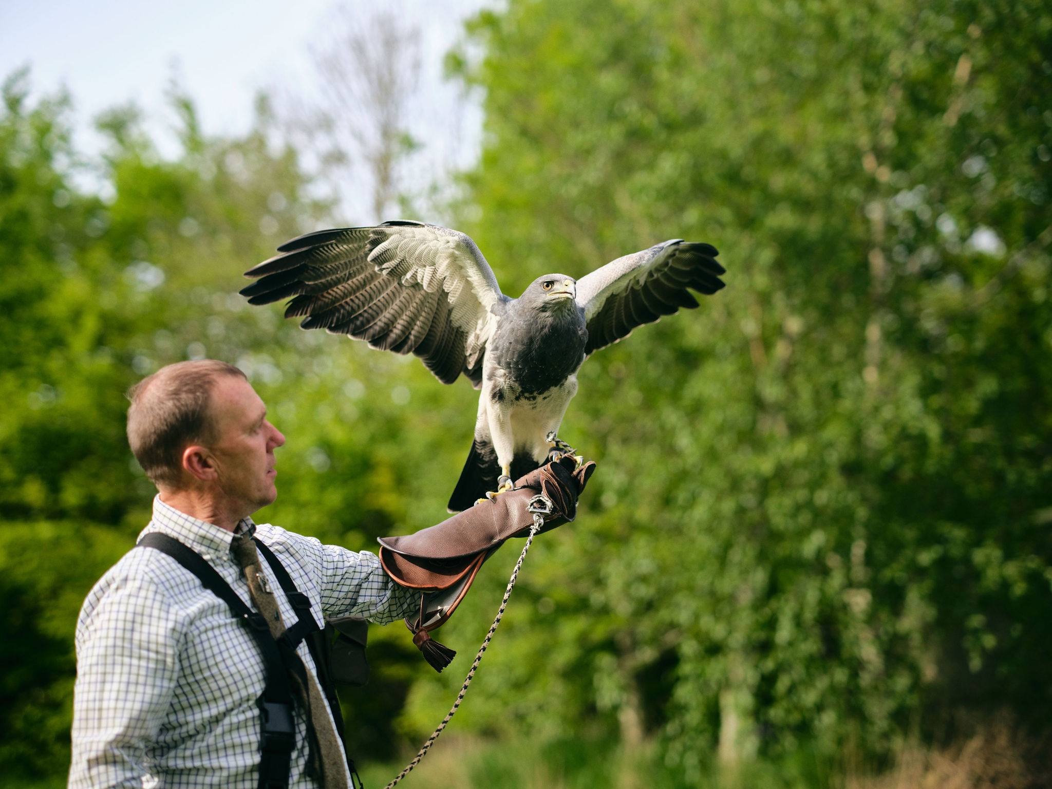 Hawk Manor Falconry - All You Need to Know BEFORE You Go (with Photos)